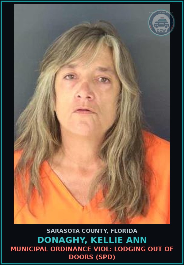 Booking mugshot of DONAGHY, KELLIE ANN in Sarasota County
