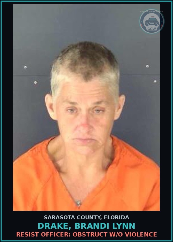 Booking mugshot of DRAKE, BRANDI LYNN in Sarasota County