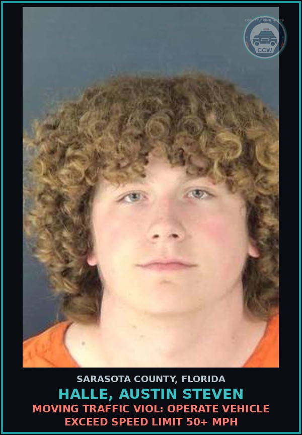 Booking mugshot of HALLE, AUSTIN STEVEN in Sarasota County