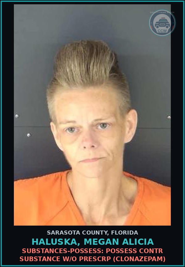 Booking mugshot of HALUSKA, MEGAN ALICIA in Sarasota County