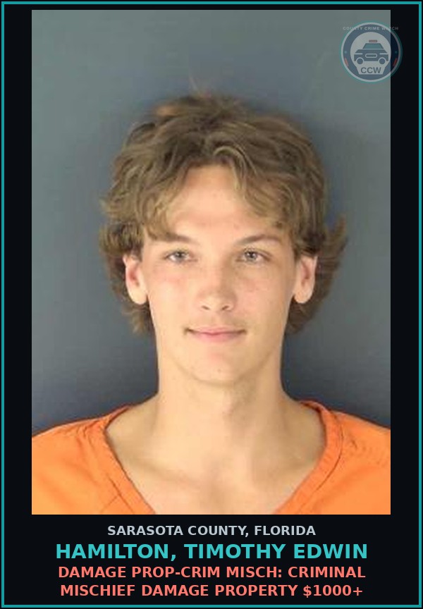 Booking mugshot of HAMILTON, TIMOTHY EDWIN in Sarasota County