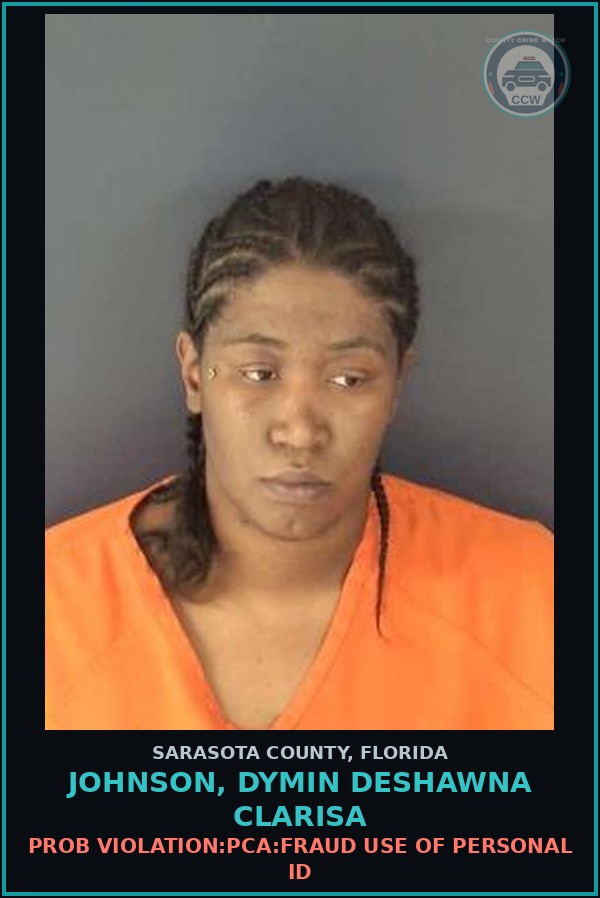 Booking mugshot of JOHNSON, DYMIN DESHAWNA CLARISA in Sarasota County