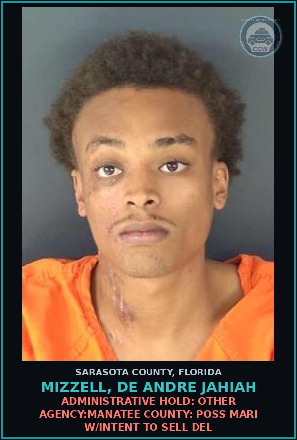Booking mugshot of MIZZELL, DE ANDRE JAHIAH in Sarasota County