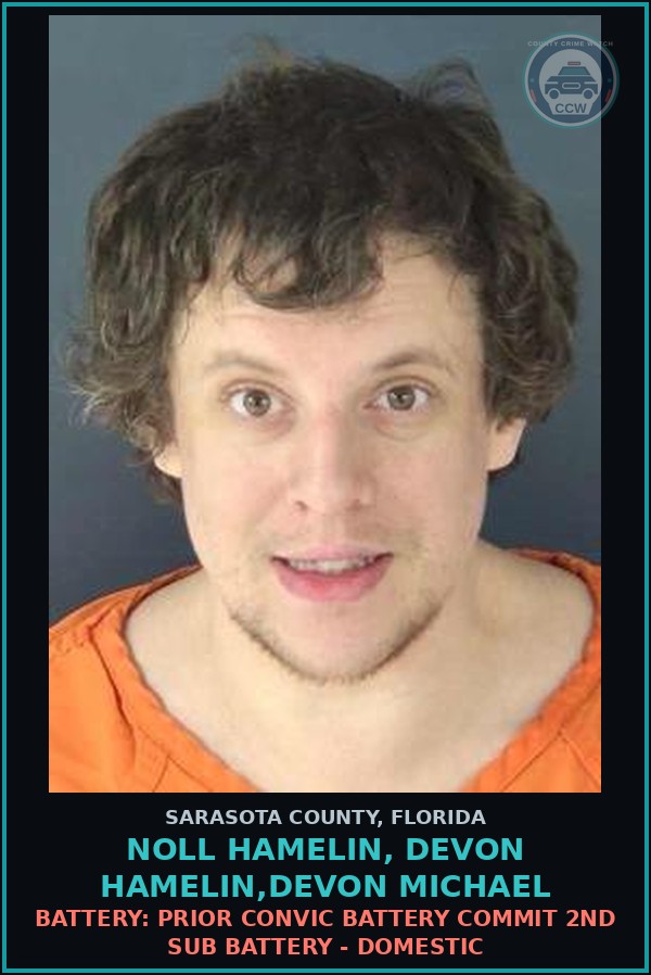 Booking mugshot of NOLL HAMELIN, DEVON HAMELIN,DEVON MICHAEL in Sarasota County