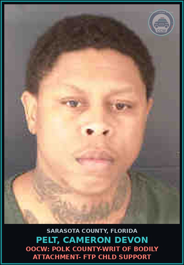Booking mugshot of PELT, CAMERON DEVON in Sarasota County