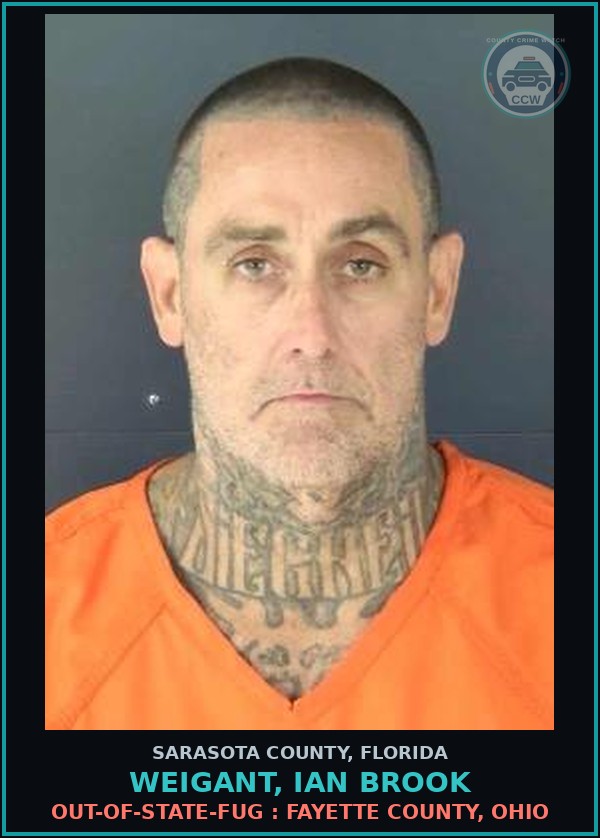 Booking mugshot of WEIGANT, IAN BROOK in Sarasota County