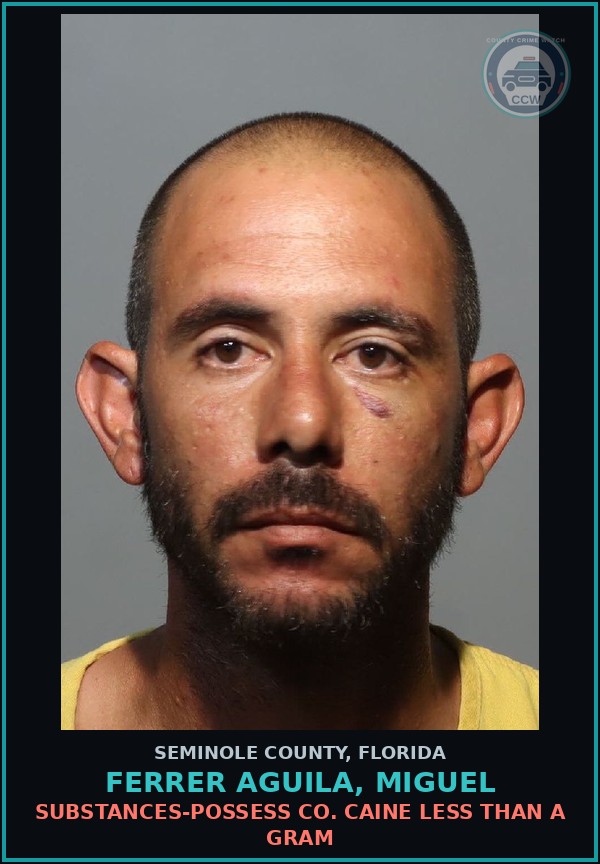 Booking mugshot of FERRER AGUILA, MIGUEL in Seminole County