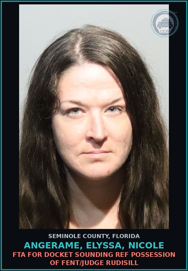 Booking mugshot of ANGERAME, ELYSSA, NICOLE in Seminole County
