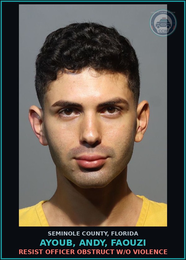 Booking mugshot of AYOUB, ANDY, FAOUZI in Seminole County