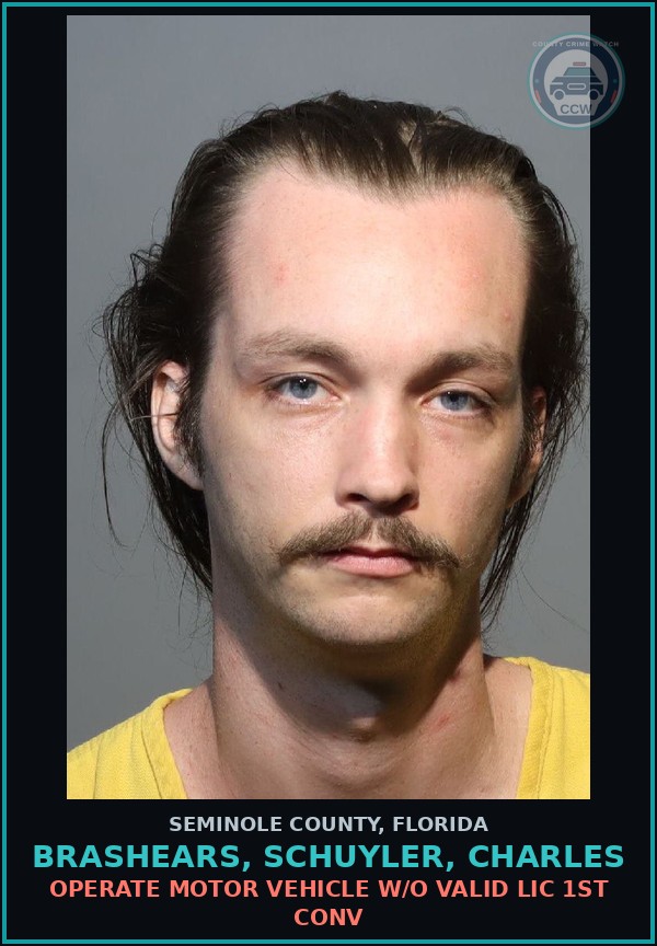 Booking mugshot of BRASHEARS, SCHUYLER, CHARLES in Seminole County