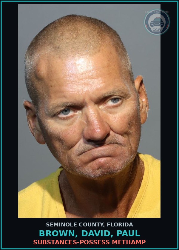 Booking mugshot of BROWN, DAVID, PAUL in Seminole County