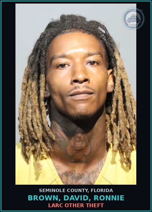 Booking mugshot of BROWN, DAVID, RONNIE in Seminole County