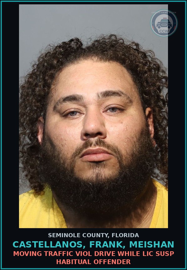 Booking mugshot of CASTELLANOS, FRANK, MEISHAN in Seminole County
