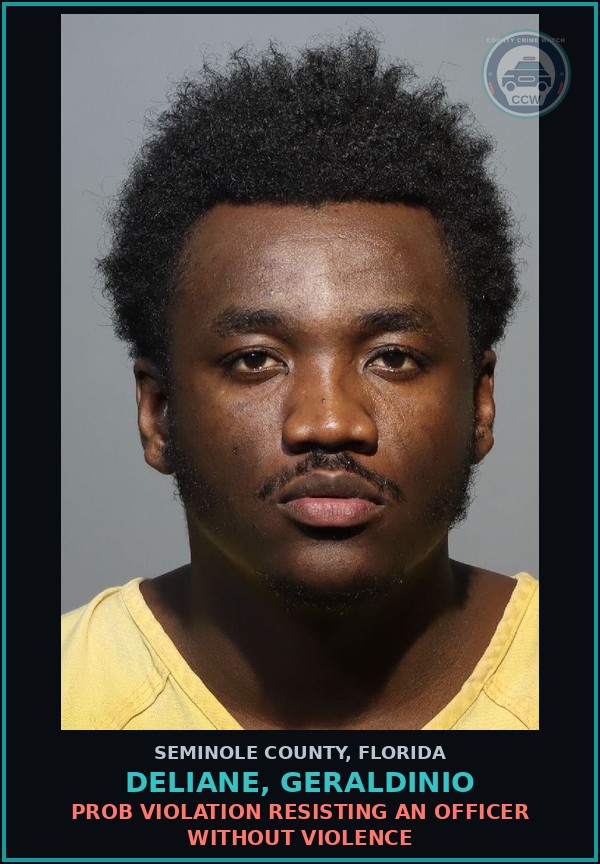 Booking mugshot of DELIANE, GERALDINIO in Seminole County