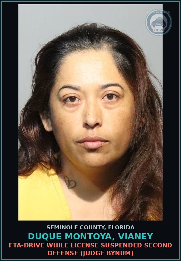 Booking mugshot of DUQUE MONTOYA, VIANEY in Seminole County
