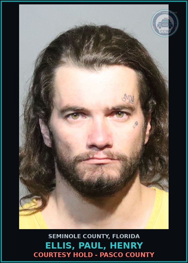 Booking mugshot of ELLIS, PAUL, HENRY in Seminole County
