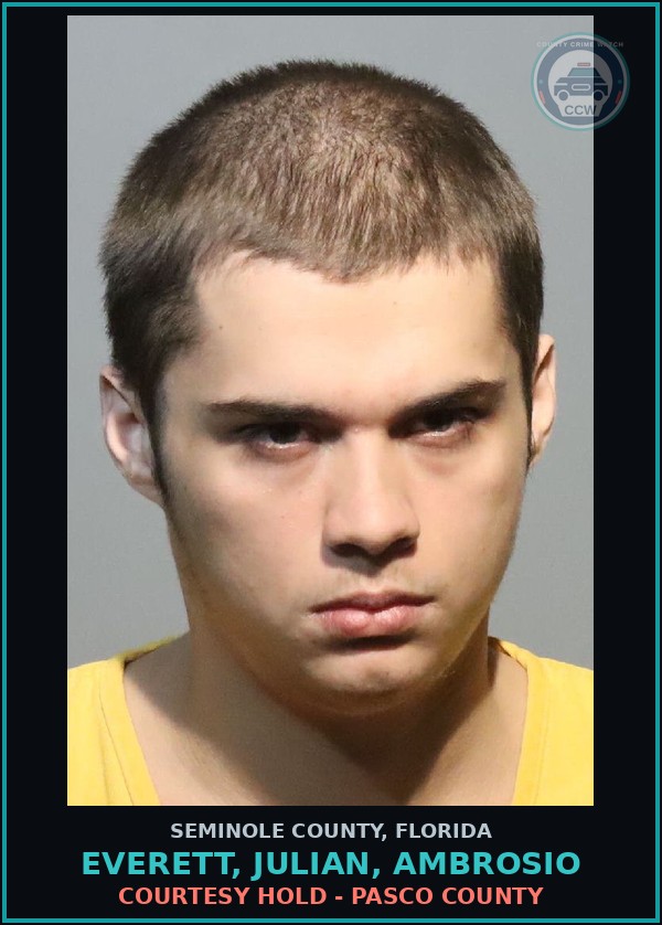Booking mugshot of EVERETT, JULIAN, AMBROSIO in Seminole County