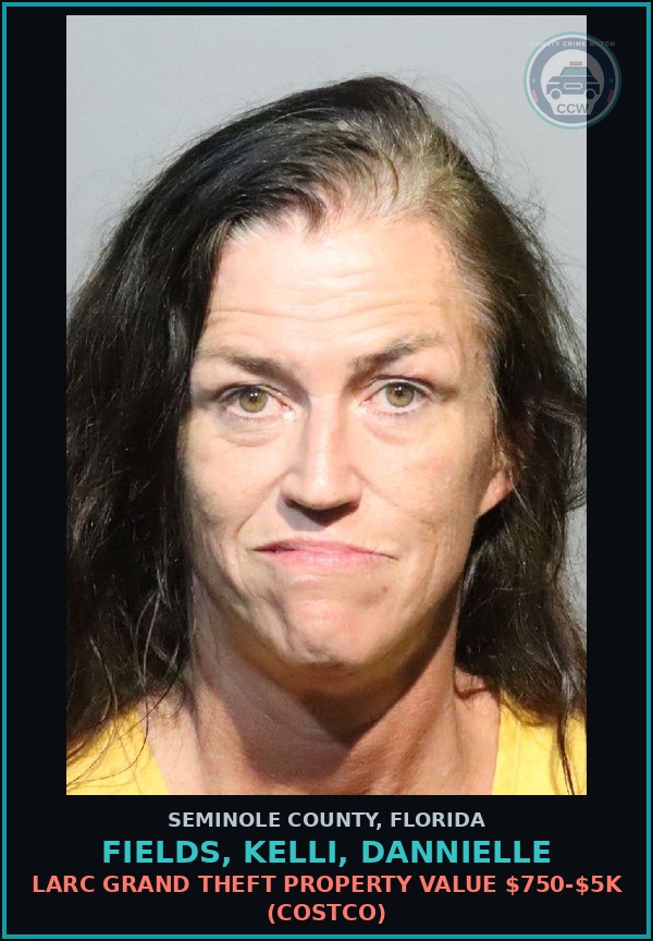 Booking mugshot of FIELDS, KELLI, DANNIELLE in Seminole County