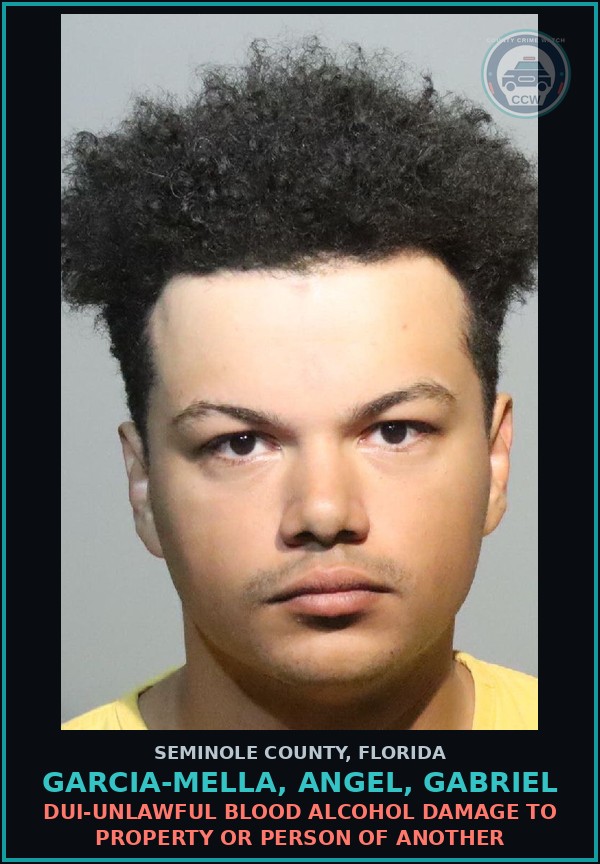 Booking mugshot of GARCIA-MELLA, ANGEL, GABRIEL in Seminole County