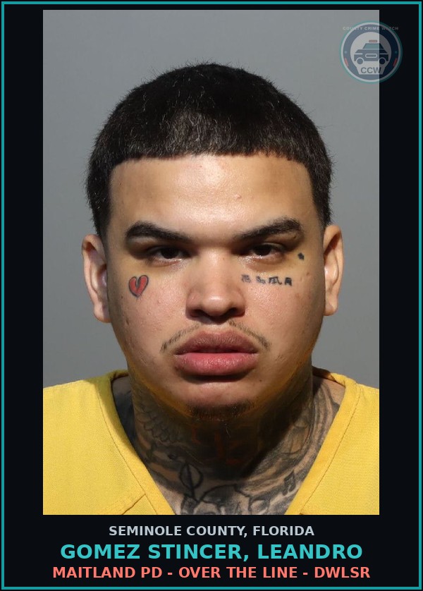 Booking mugshot of GOMEZ STINCER, LEANDRO in Seminole County