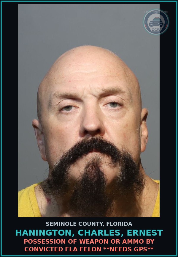 Booking mugshot of HANINGTON, CHARLES, ERNEST in Seminole County