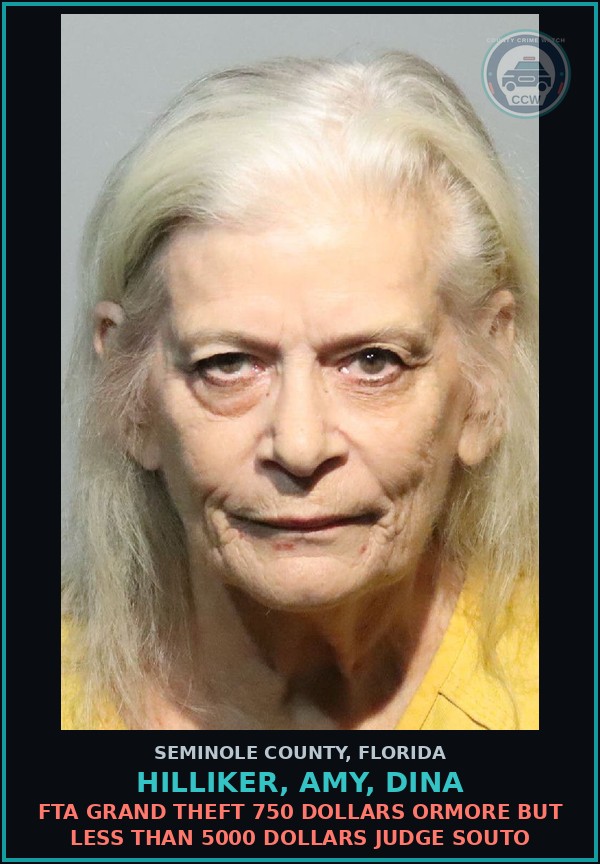 Booking mugshot of HILLIKER, AMY, DINA in Seminole County