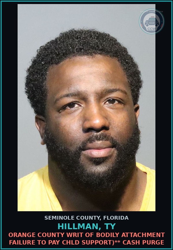 Booking mugshot of HILLMAN, TY in Seminole County
