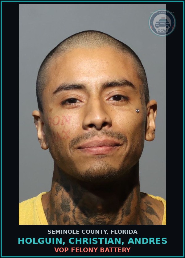 Booking mugshot of HOLGUIN, CHRISTIAN, ANDRES in Seminole County