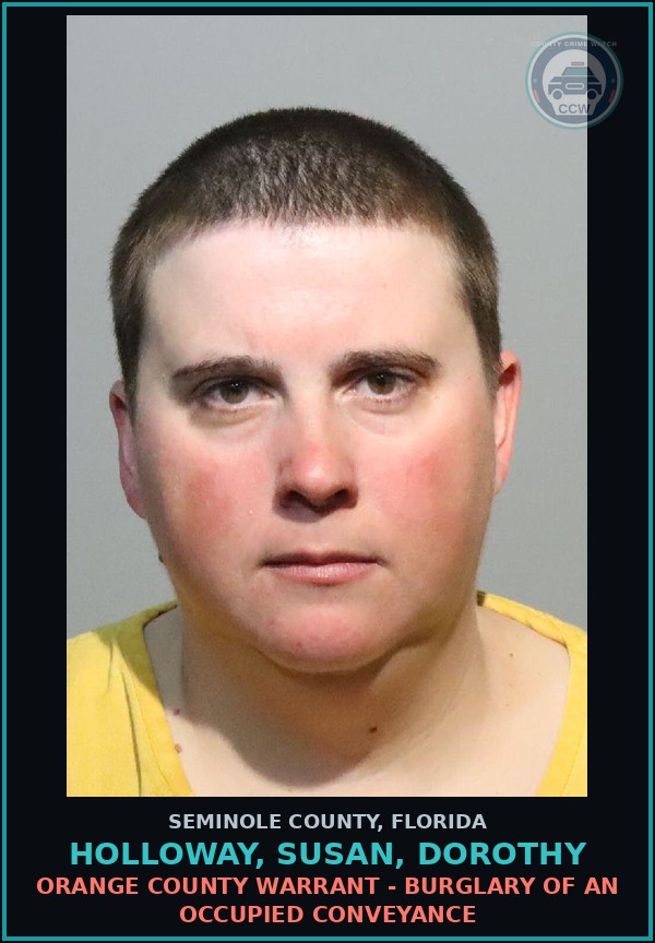 Booking mugshot of HOLLOWAY, SUSAN, DOROTHY in Seminole County