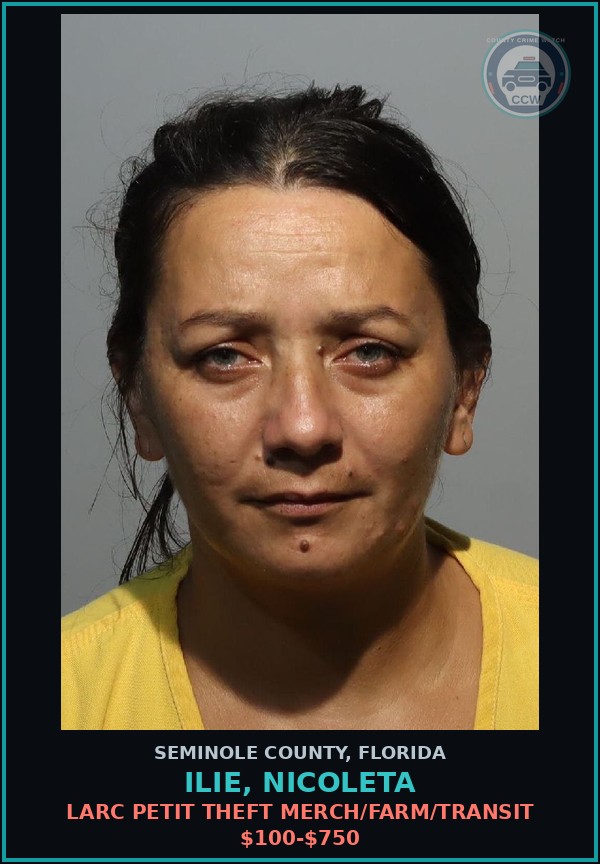 Booking mugshot of ILIE, NICOLETA in Seminole County