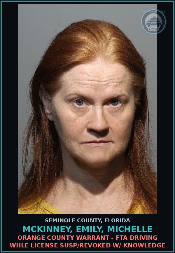 Booking mugshot of MCKINNEY, EMILY, MICHELLE in Seminole County