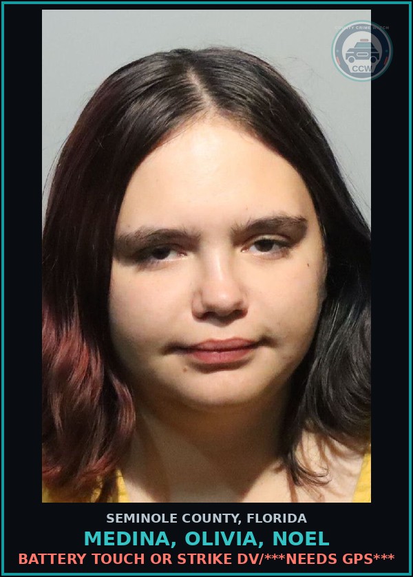 Booking mugshot of MEDINA, OLIVIA, NOEL in Seminole County