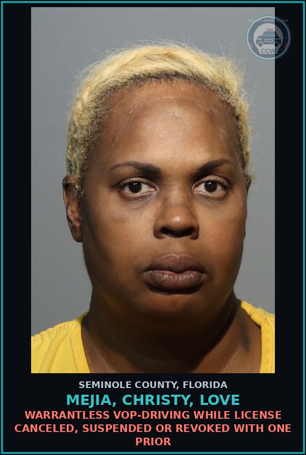 Booking mugshot of MEJIA, CHRISTY, LOVE in Seminole County