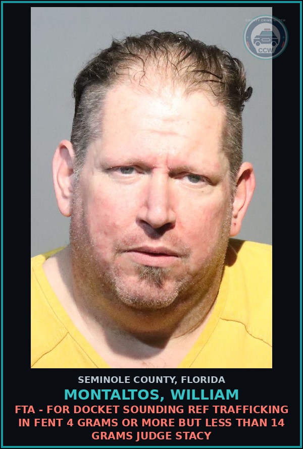 Booking mugshot of MONTALTOS, WILLIAM in Seminole County