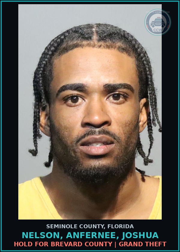 Booking mugshot of NELSON, ANFERNEE, JOSHUA in Seminole County