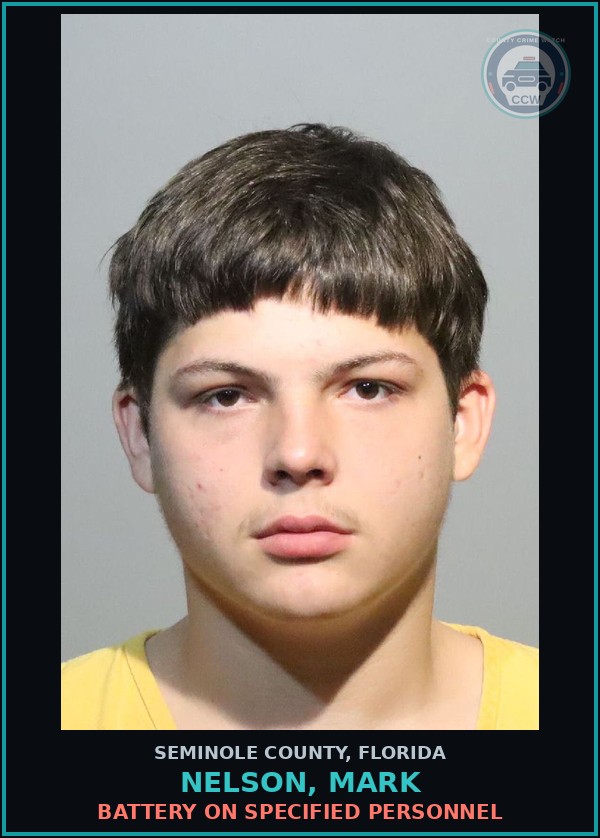Booking mugshot of NELSON, MARK in Seminole County