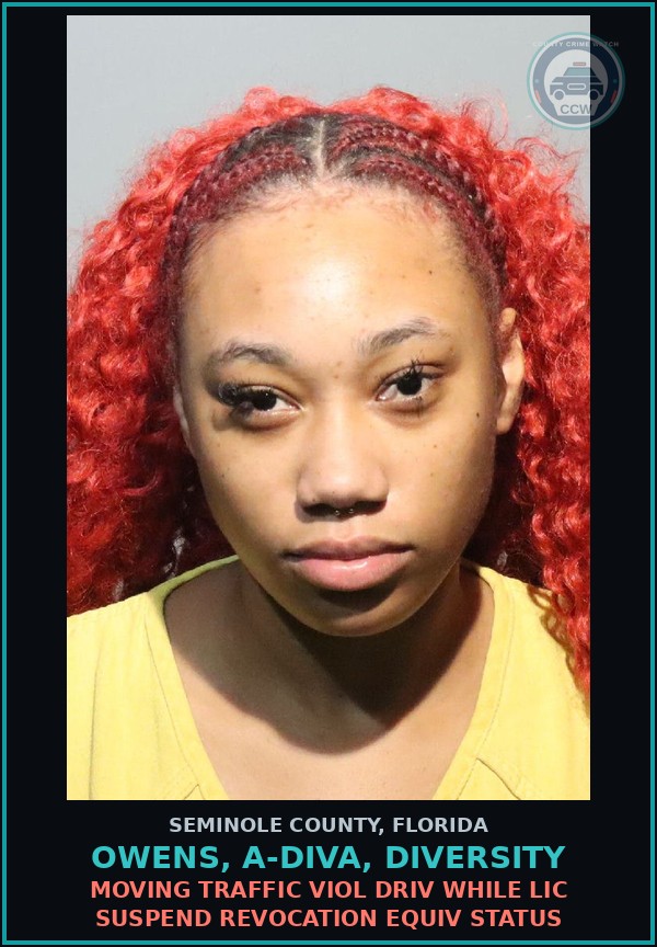 Booking mugshot of OWENS, A-DIVA, DIVERSITY in Seminole County