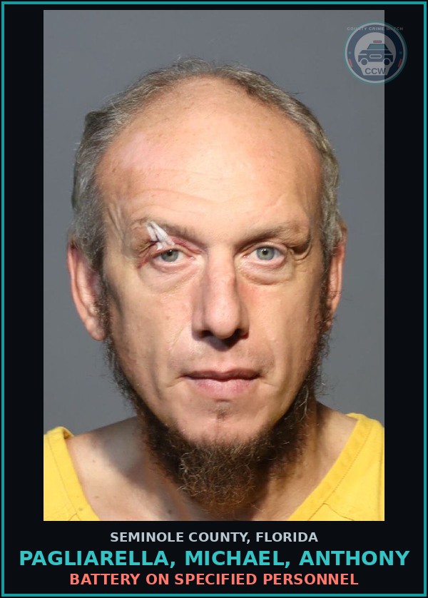 Booking mugshot of PAGLIARELLA, MICHAEL, ANTHONY in Seminole County