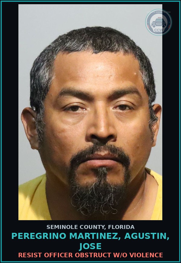 Booking mugshot of PEREGRINO MARTINEZ, AGUSTIN, JOSE in Seminole County