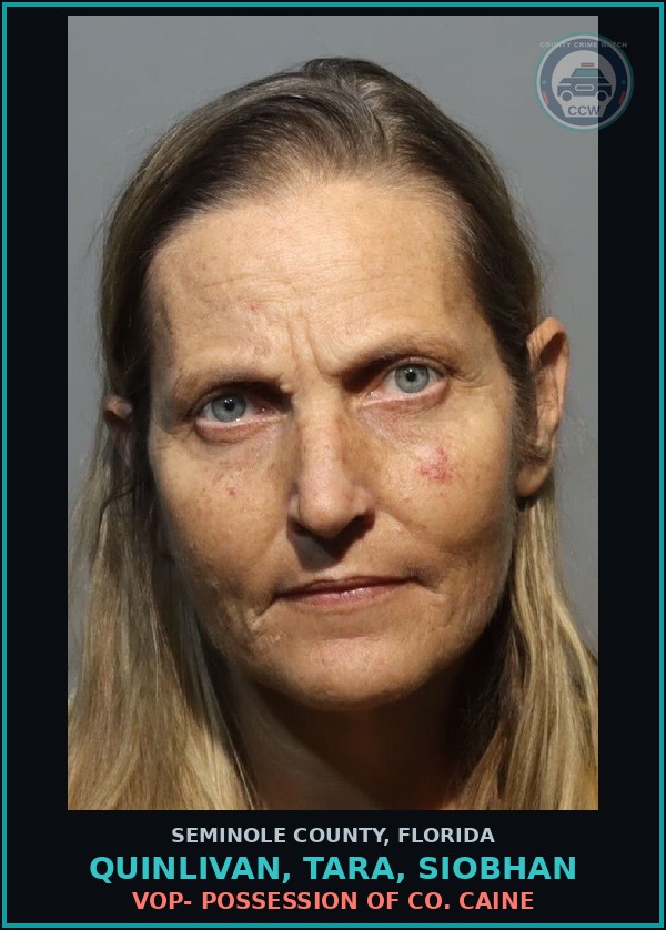 Booking mugshot of QUINLIVAN, TARA, SIOBHAN in Seminole County