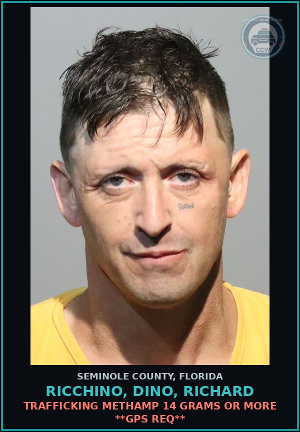 Booking mugshot of RICCHINO, DINO, RICHARD in Seminole County