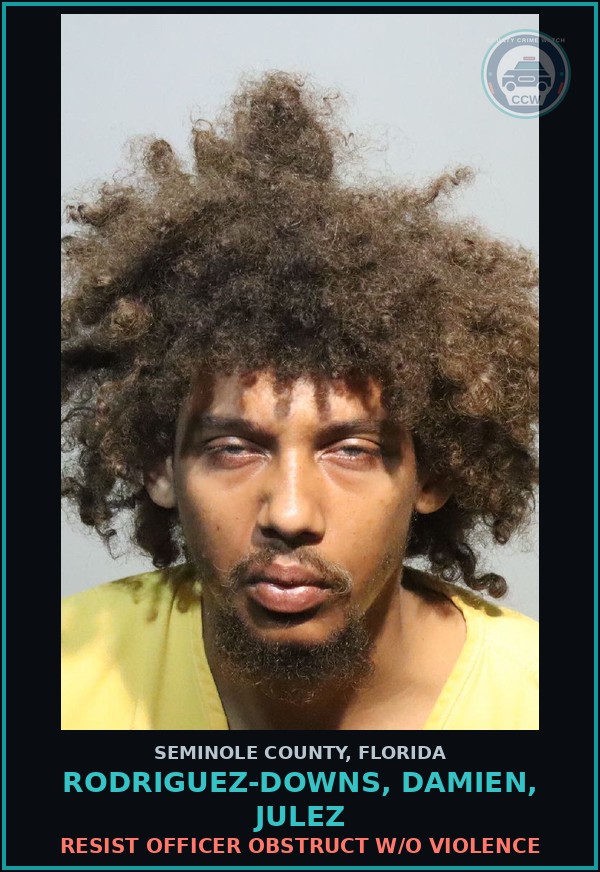 Booking mugshot of RODRIGUEZ-DOWNS, DAMIEN, JULEZ in Seminole County
