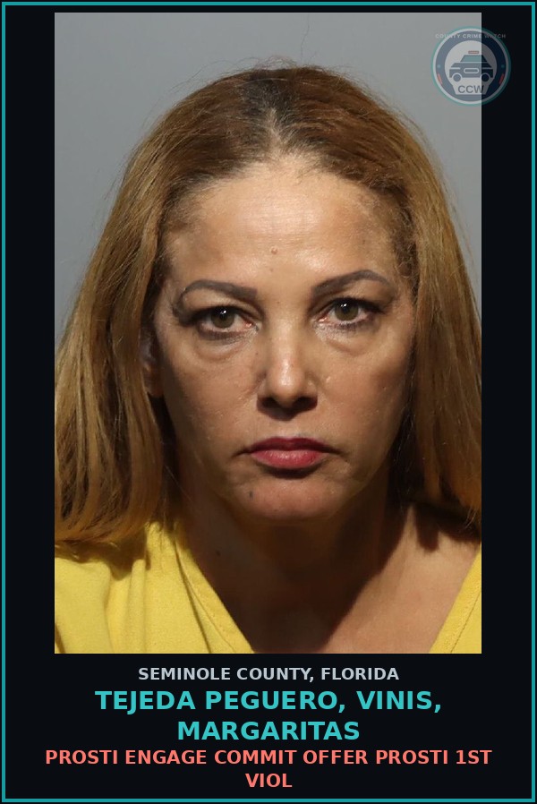 Booking mugshot of TEJEDA PEGUERO, VINIS, MARGARITAS in Seminole County