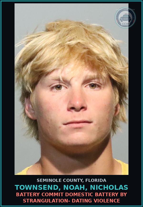 Booking mugshot of TOWNSEND, NOAH, NICHOLAS in Seminole County