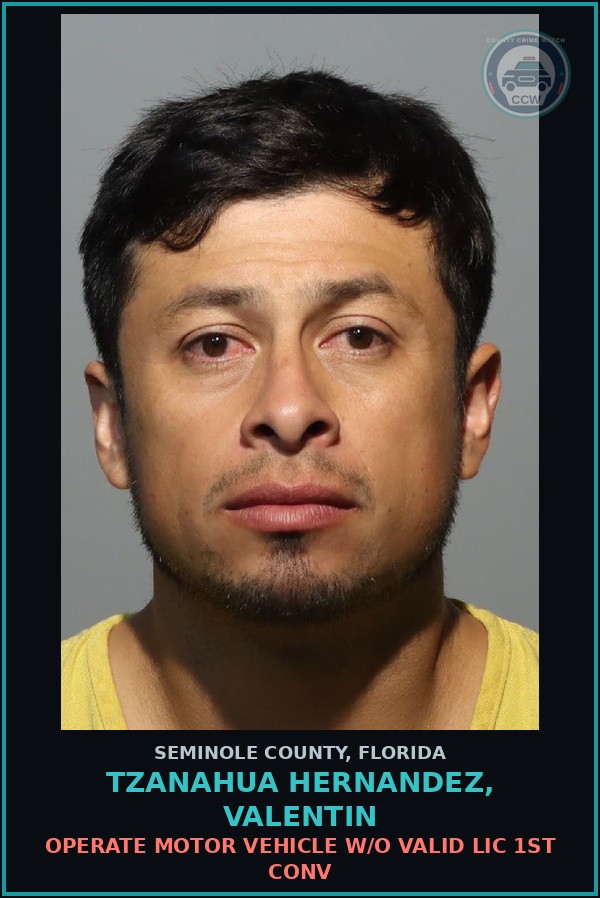 Booking mugshot of TZANAHUA HERNANDEZ, VALENTIN in Seminole County