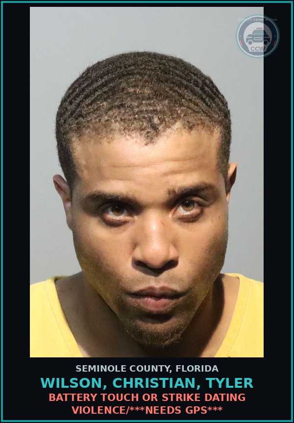 Booking mugshot of WILSON, CHRISTIAN, TYLER in Seminole County