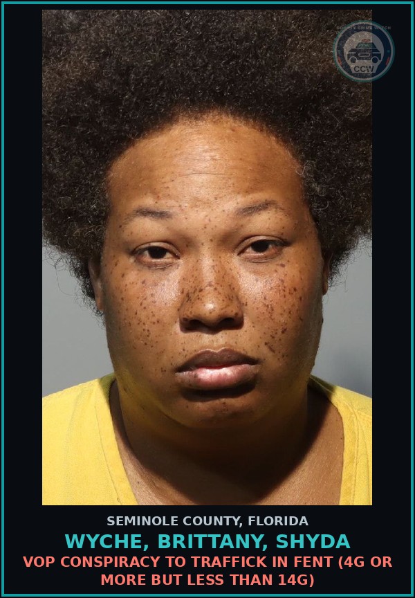 Booking mugshot of WYCHE, BRITTANY, SHYDA in Seminole County