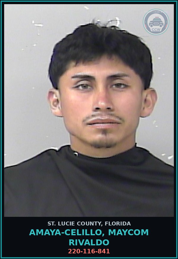 Booking mugshot of Amaya-celillo, Maycom Rivaldo in St. Lucie County