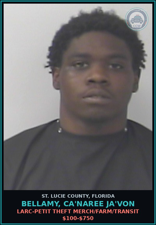 Booking mugshot of Bellamy, Ca'naree Ja'von in St. Lucie County