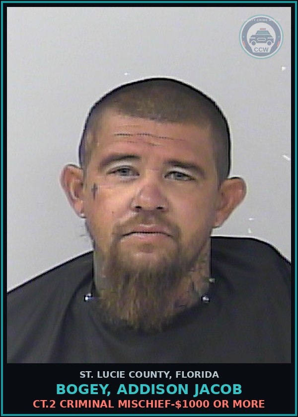 Booking mugshot of Bogey, Addison Jacob in St. Lucie County